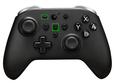 3. Press L/ZL, and there is right joystick input in the game.