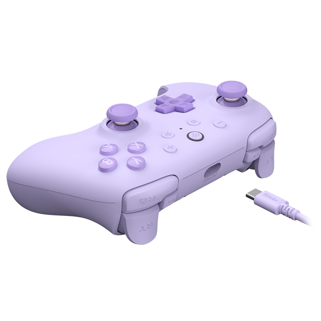 8BitDo Ultimate 2C Wired Controller Purple Side