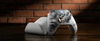 8BitDo Ultimate Charging Dock for Xbox Controllers (85DD)