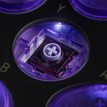 8BitDo All-Button Arcade Controller (80FG)